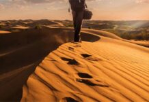 Skyscanner Reveals ‘Slow Travel’ And ‘Jomo Trips’ As Top Travel Trends For Indian Travellers In 2020