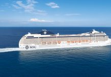 Cruise industry seeks partnership with governments to reach decarbonisation goals