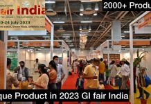 GI Fair India 2023 Unique Products | India Expo Mart