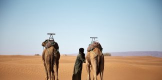 Saudi Tourism Launches ‘This Land is Calling’ Campaign – a compelling invitation to discover the Heart of Arabia