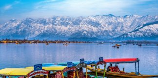 Kashmir Marathon 2025 to Boost Tourism with Scenic Runs & Cultural Festivities